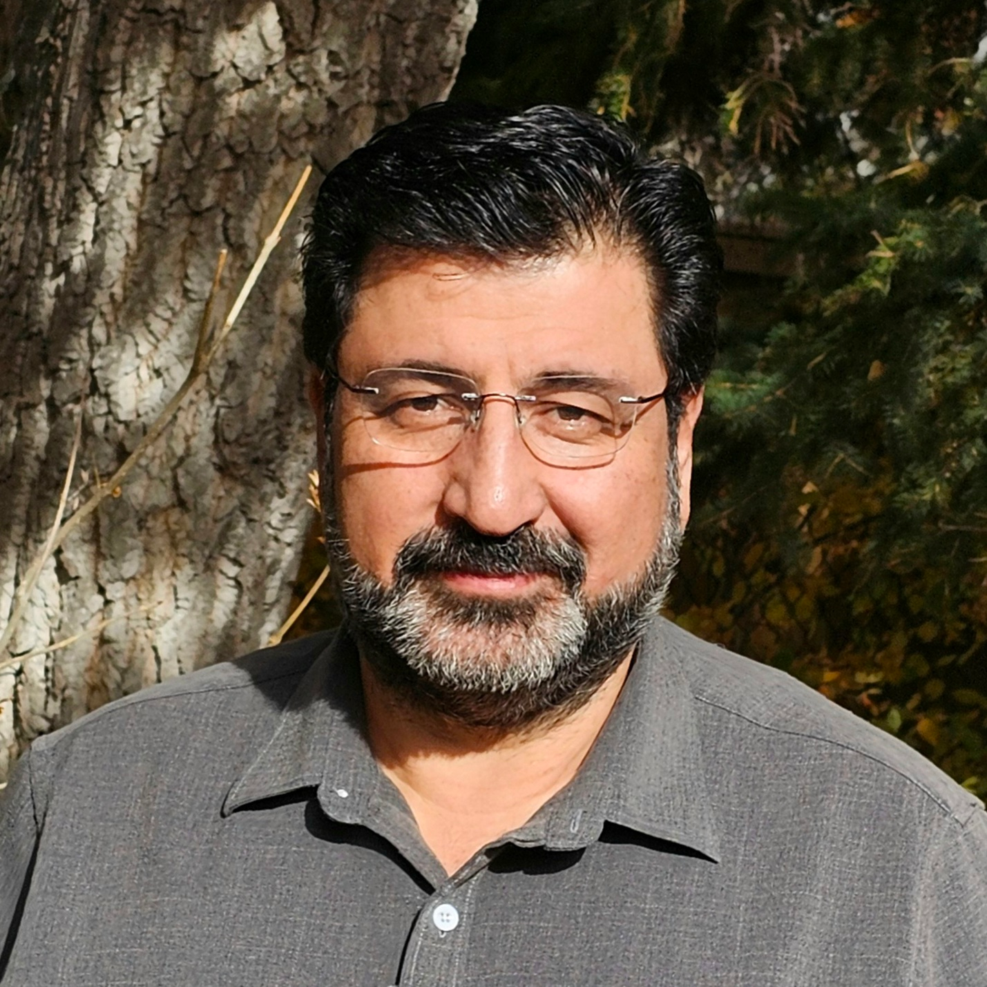 Faramarz Samavati.